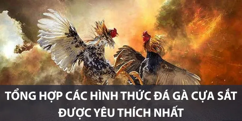 Những giống gà được dùng để tham gia đá gà cựa sắt